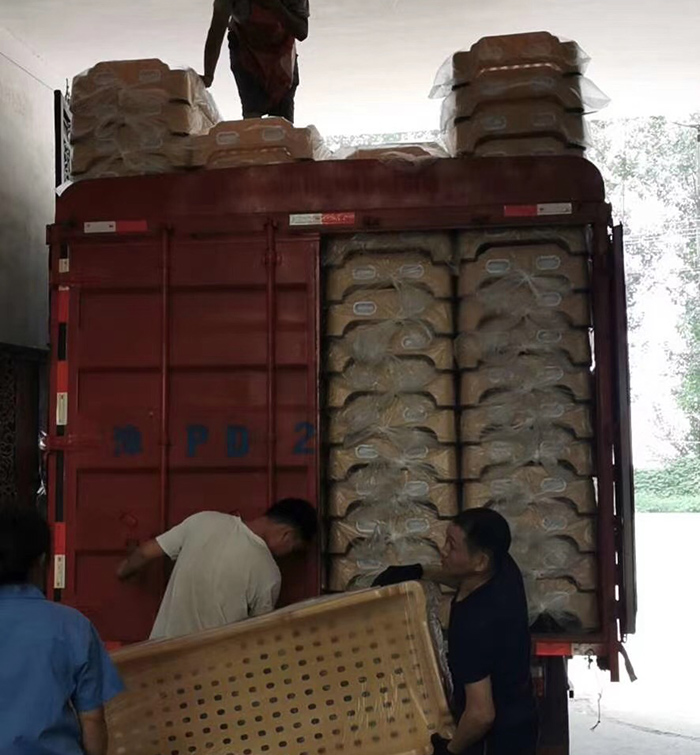 幼兒園塑料一體床